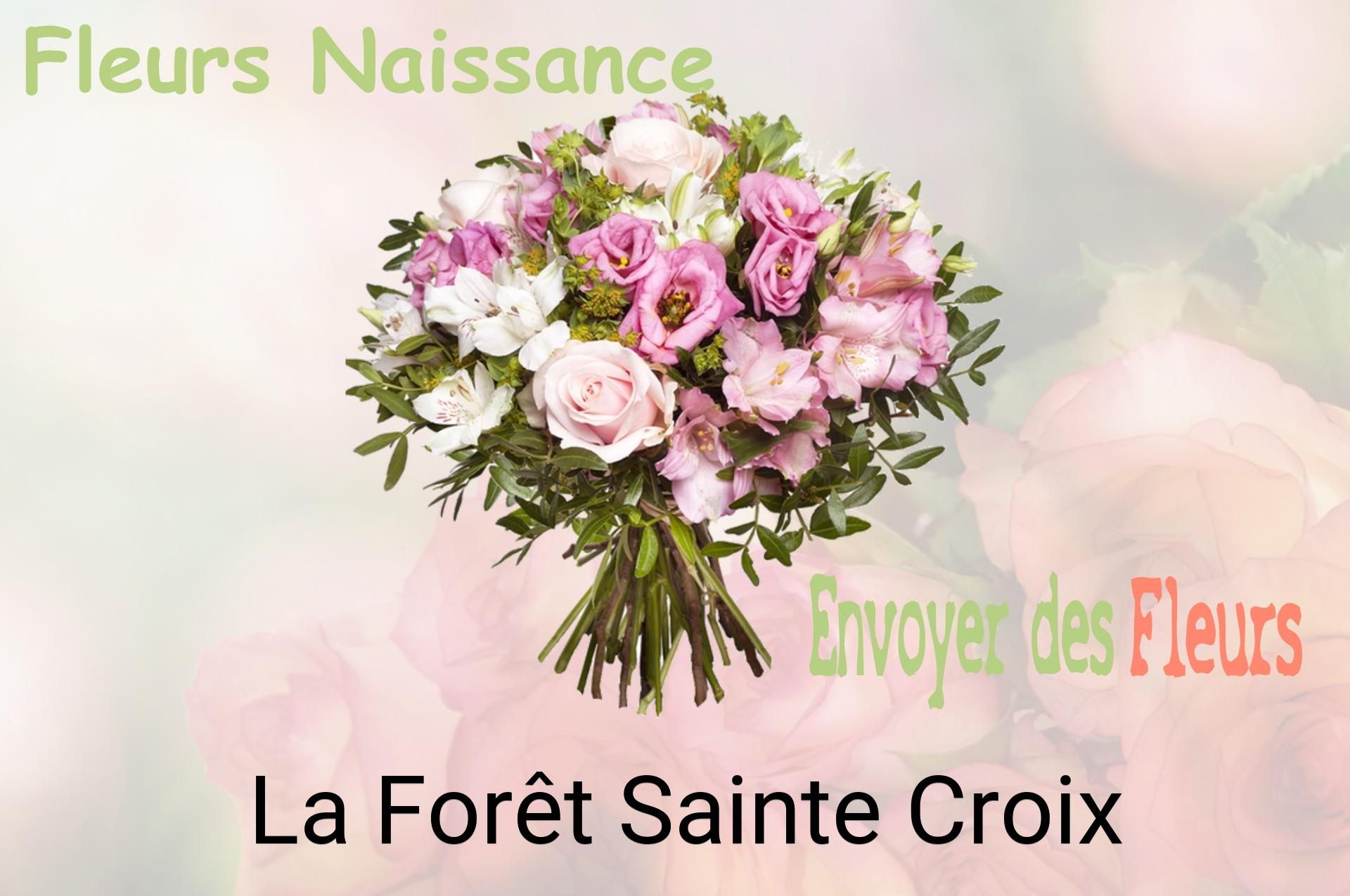Bouquet de fleurs de naissance livré à La Forêt-Sainte-Croix